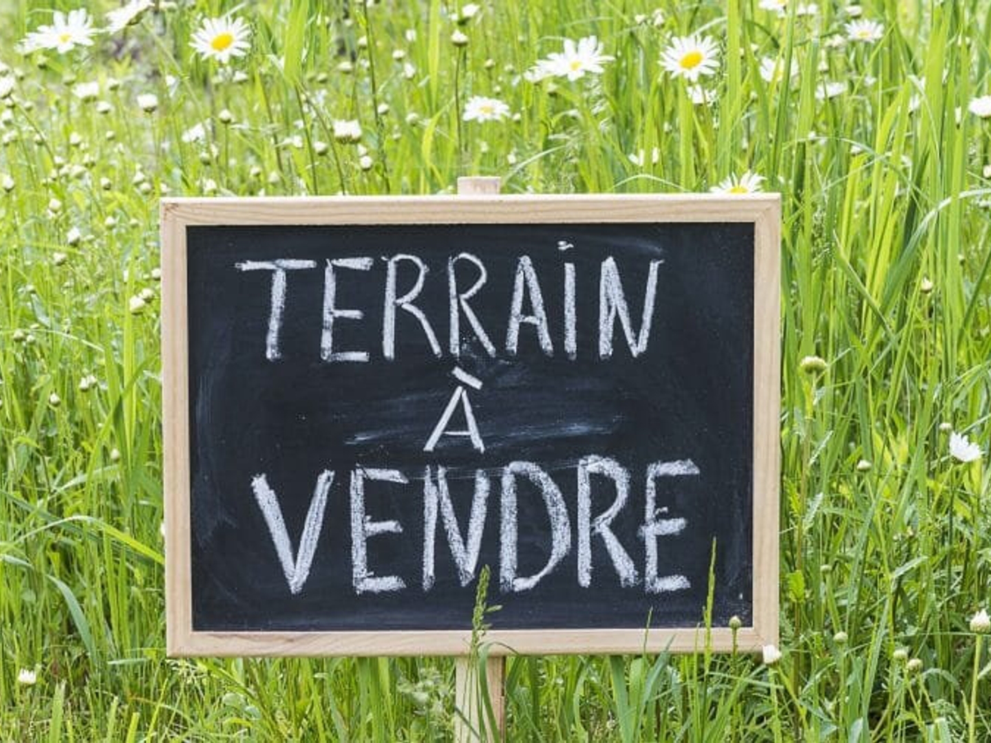 SAINT-ÉTIENNE-DE-MER-MORTE ? TERRAIN À LOTIR ? 6 442 M²