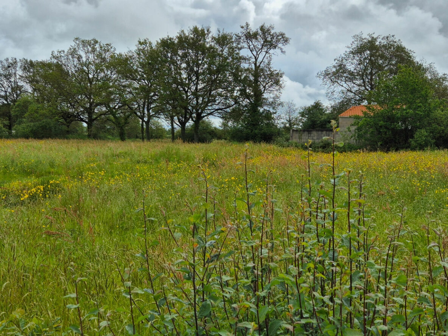 Terrain à vendre - 6442m2 - Saint-Étienne-De-... (44270)