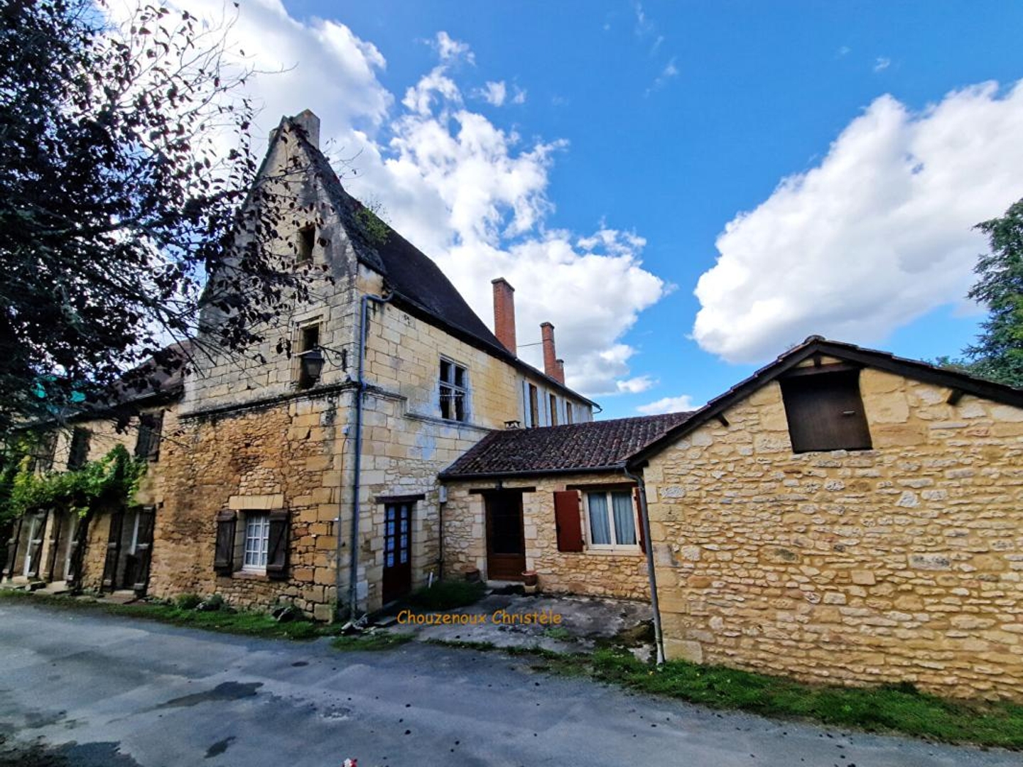 Immeuble à vendre - 8 pièces - 220m2 - Sergeac (24290)