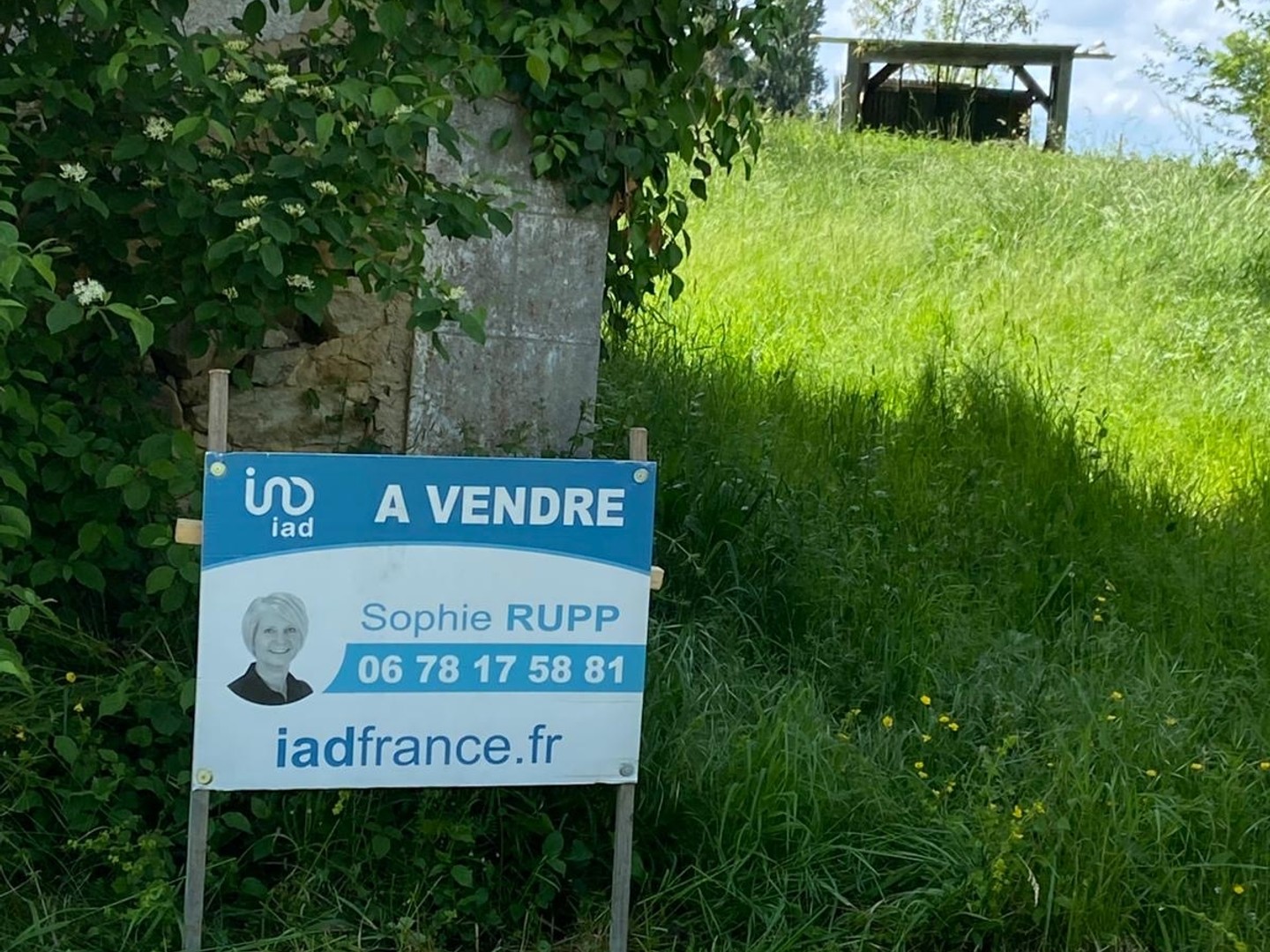 Terrain 4000 m²