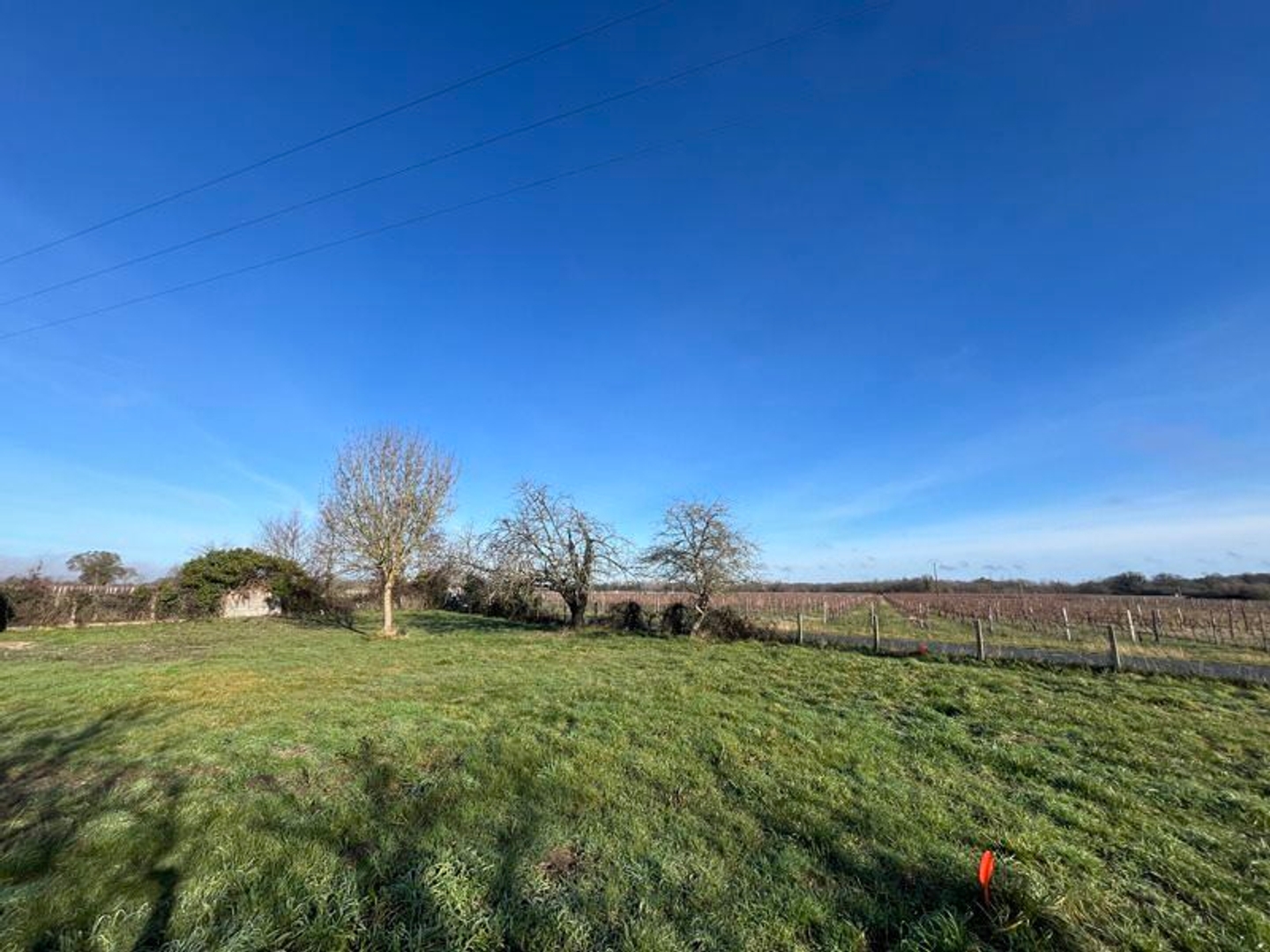 Terrain 543 m²