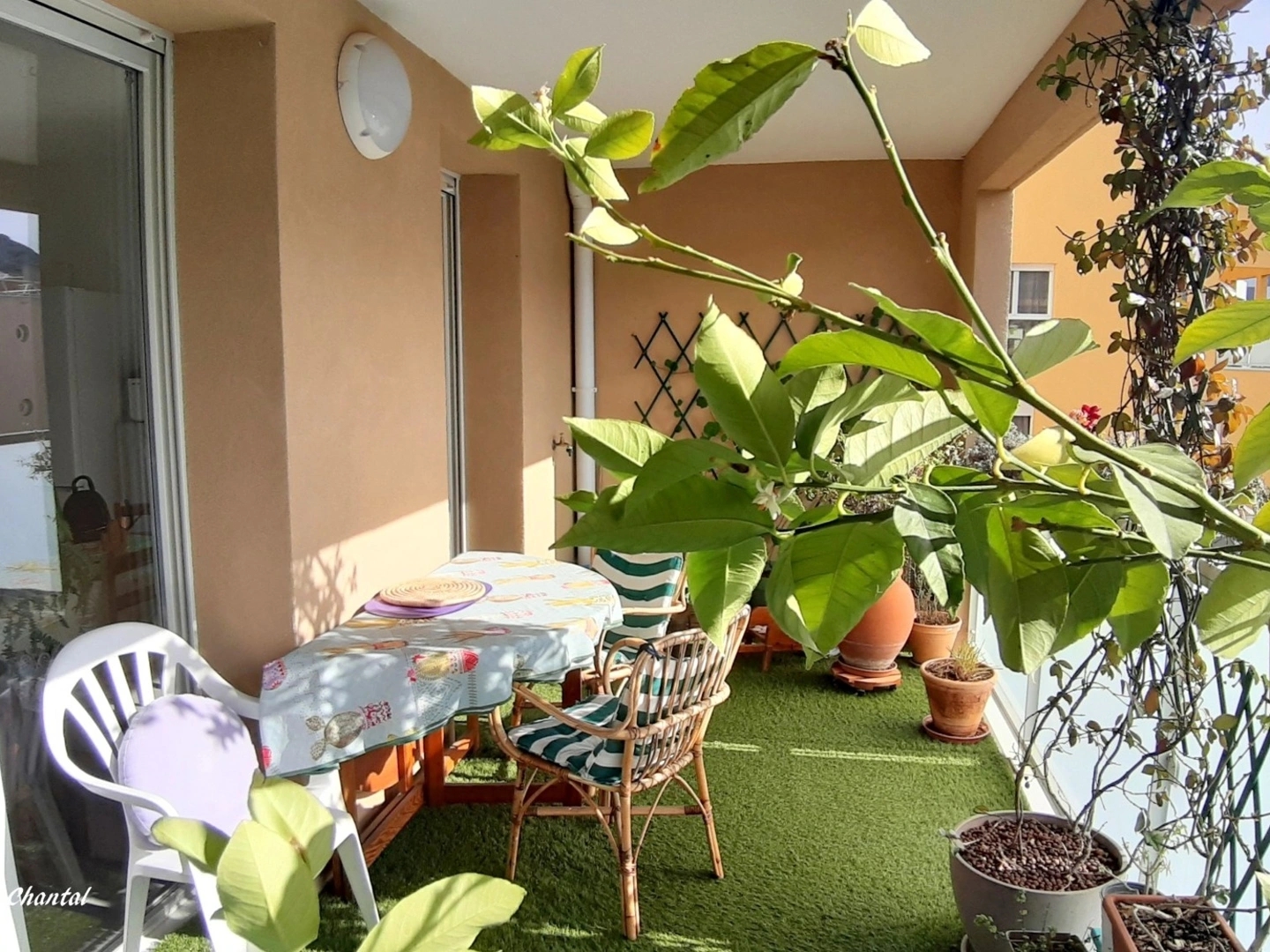 Appartement 3 pièces 66 m²