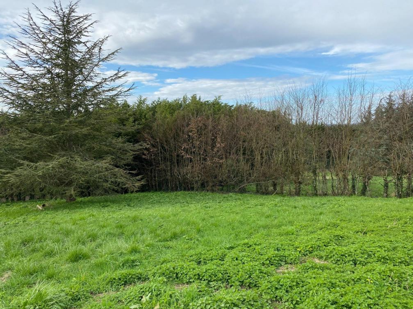 Terrain à vendre - 824m2 - Villers-Sur-Le-Roule (27940)