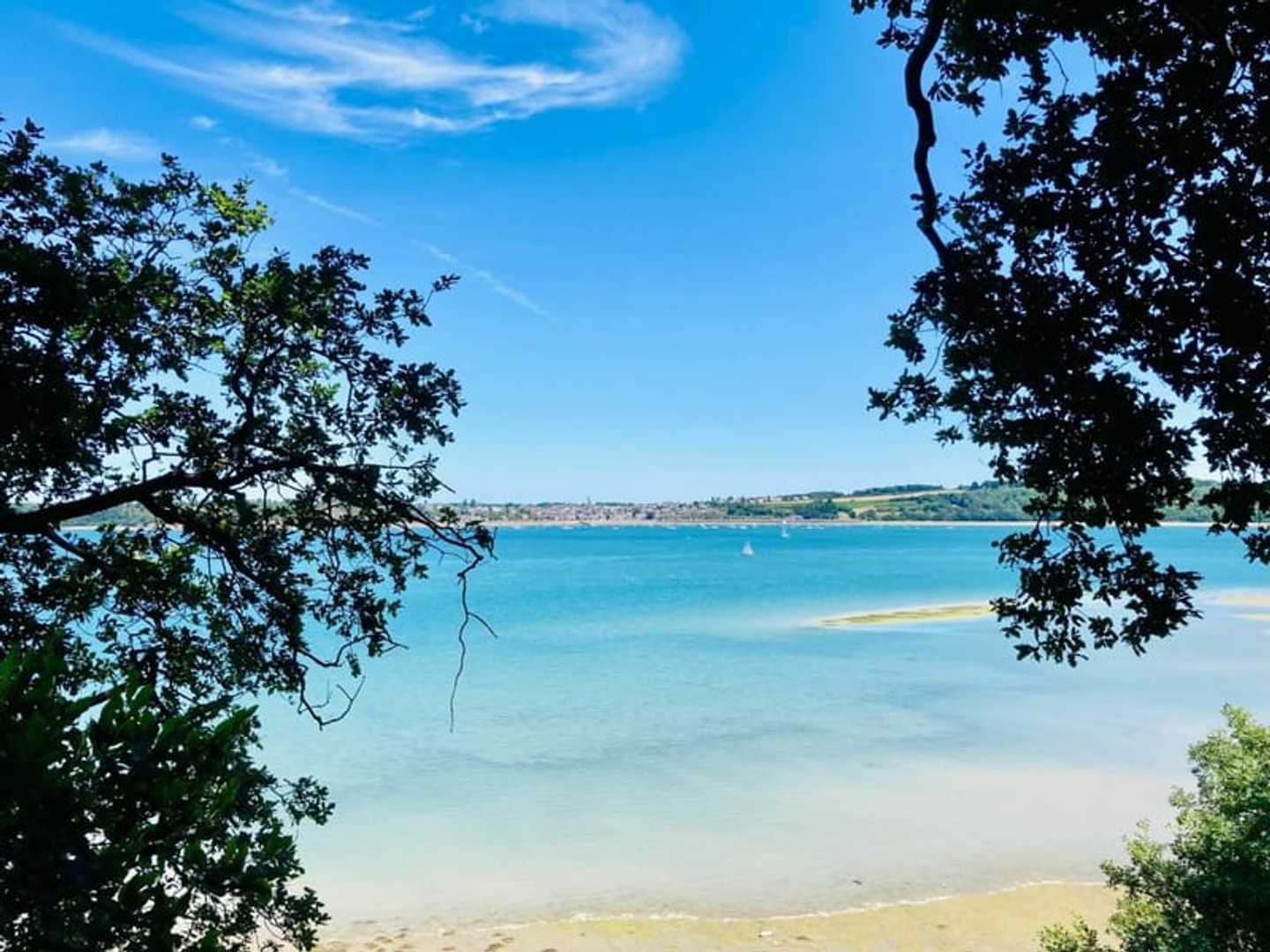 terrain de 554 m² sur LANGROLAY SUR RANCE