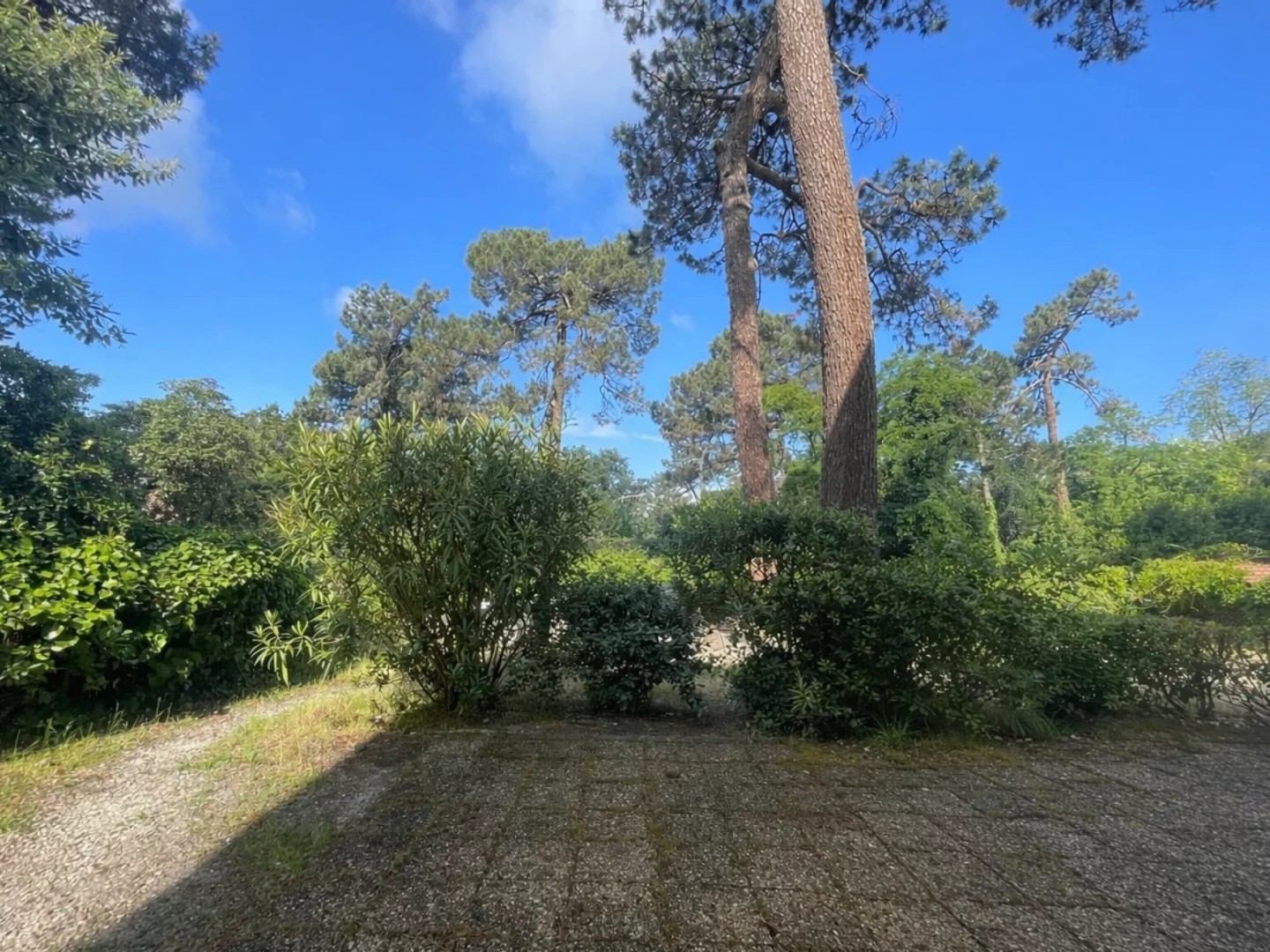 Au Pyla, appartement avec 2 chambres à 300 m de la plage