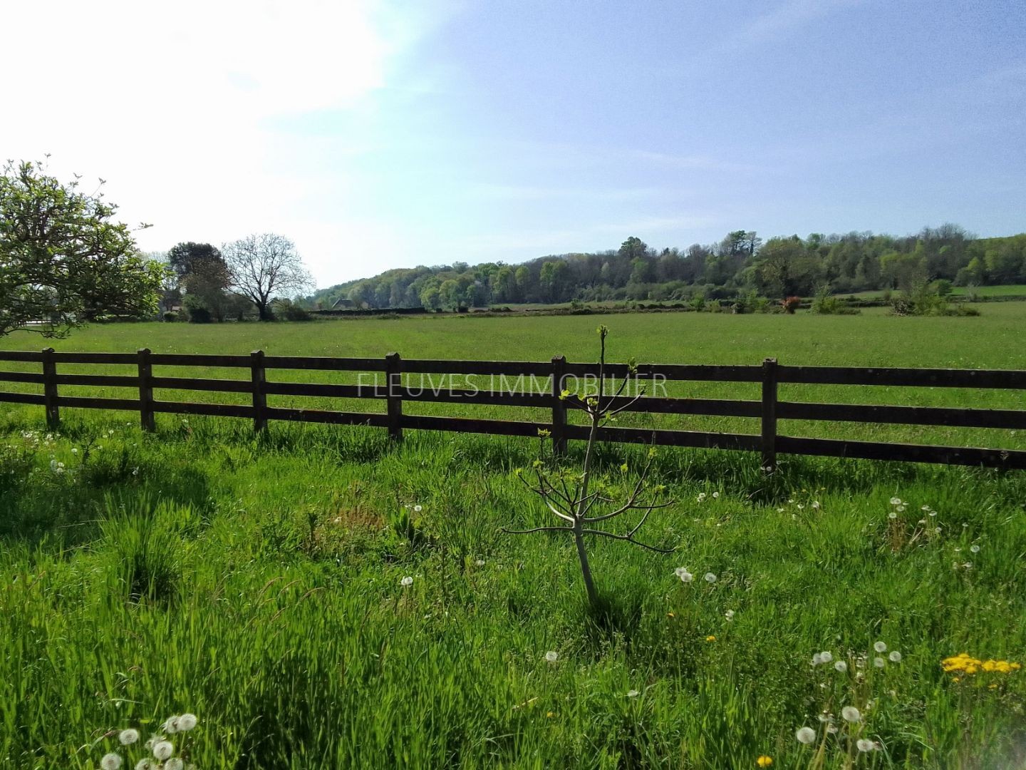 Terrain à vendre - 10805m2 - Navarrenx (64190)