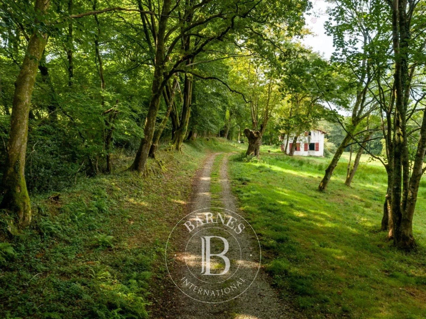 ARCANGUES, TERRAIN DE 3,6 HECTARES