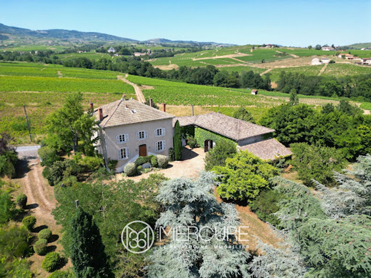 Vignoble 6695 m²
