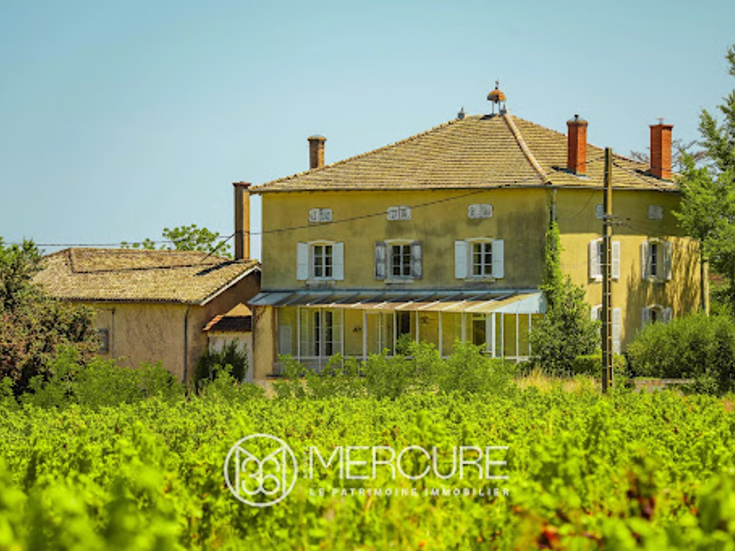 Terrain à vendre - 6695m2 - Régnié-Durette (69430)