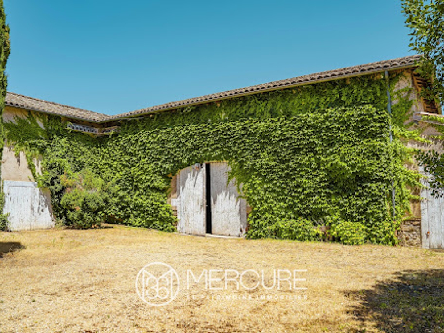 Terrain à vendre - 6695m2 - Régnié-Durette (69430)