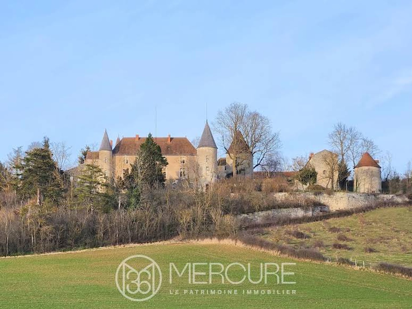 Château 14 pièces 350 m²