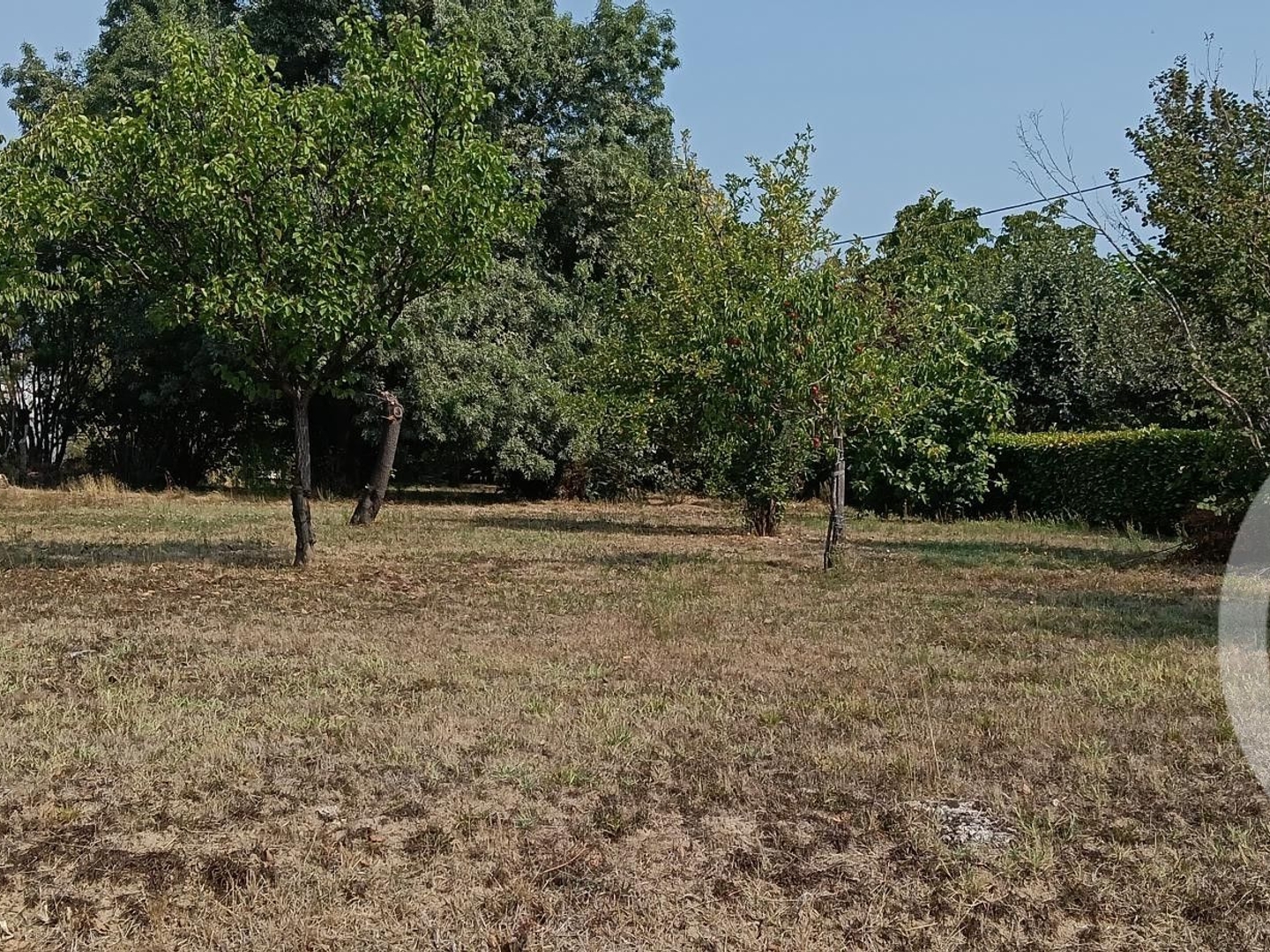 Terrain à vendre - 700m2 - Gaillac (81600)