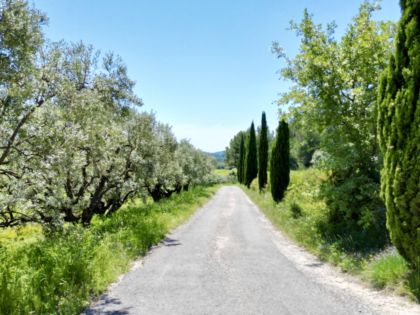 Ventoux Domaine viticole de renom sur 18 ha - intimiste et