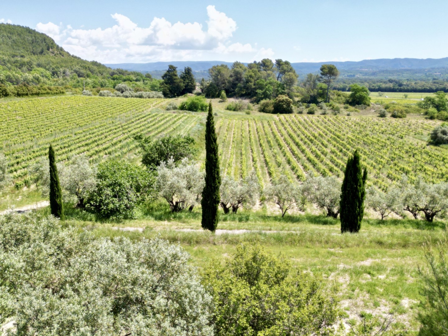Terrain à vendre - 180000m2 - Mazan (84380)