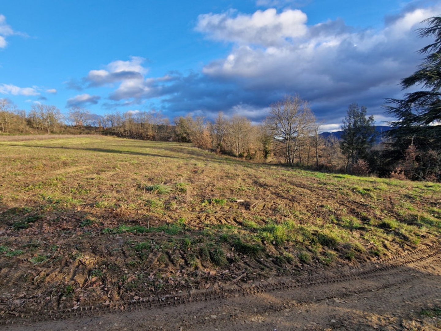 Terrain agricole 9572 m²