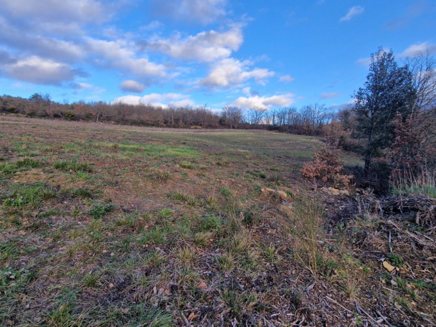 Terrain à vendre - 9572m2 - Antugnac (11190)