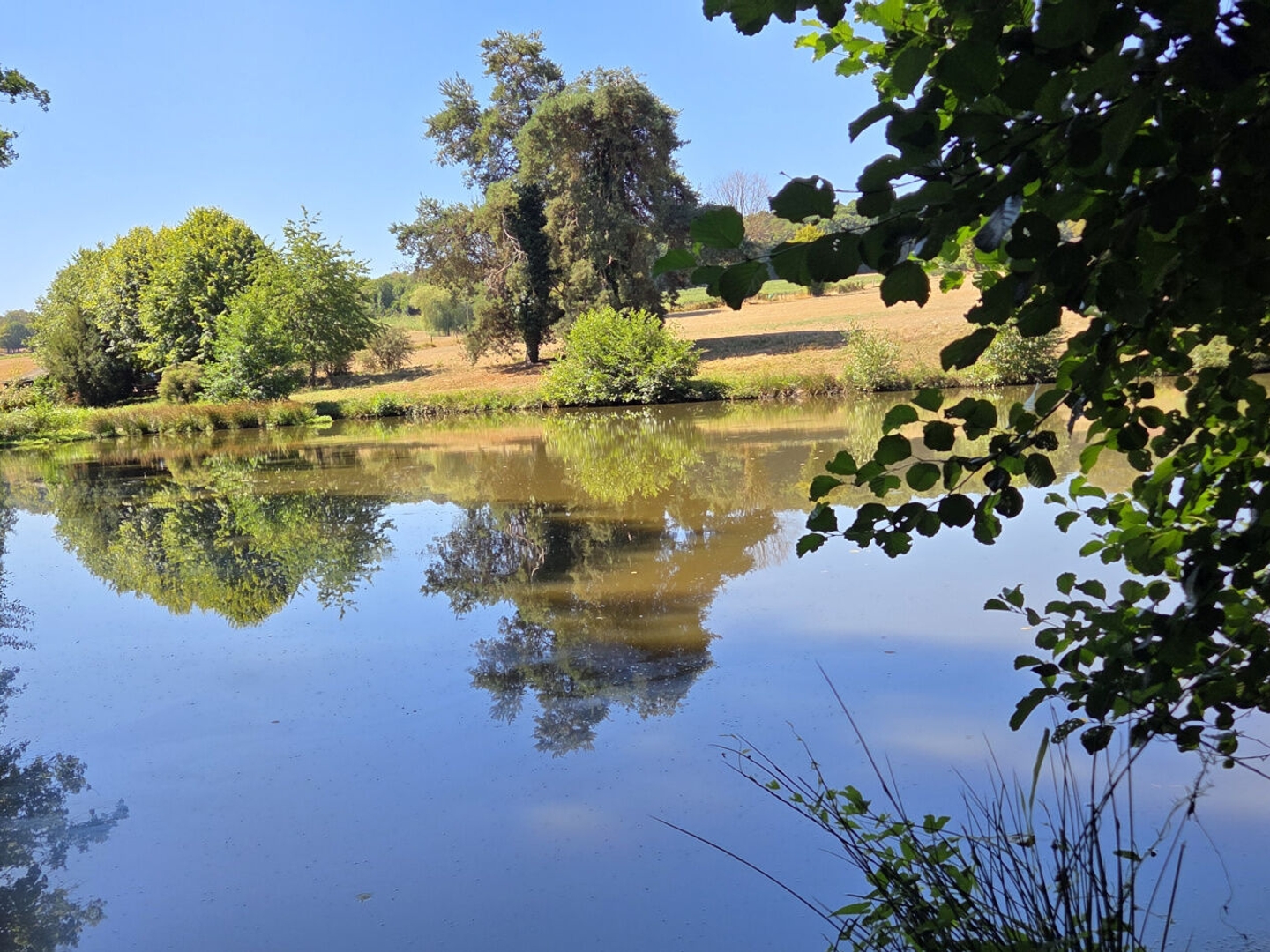 Terrain à vendre - 5300m2 - Vicq-Sur-Breuilh (87260)