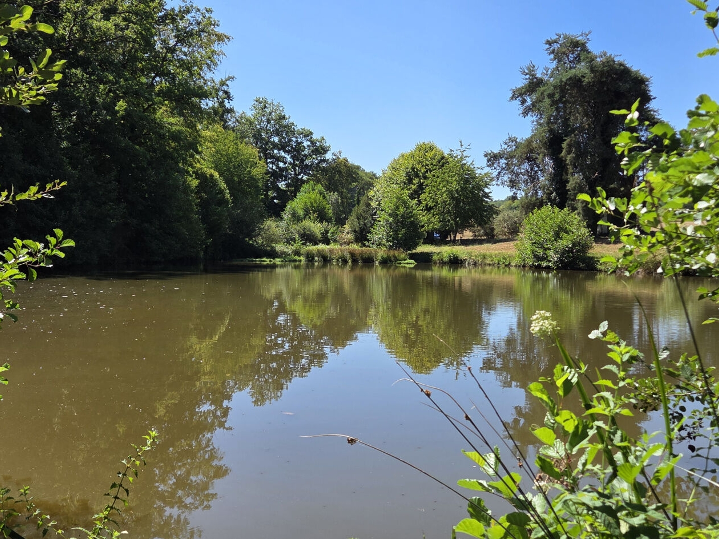 Terrain à vendre - 5300m2 - Vicq-Sur-Breuilh (87260)