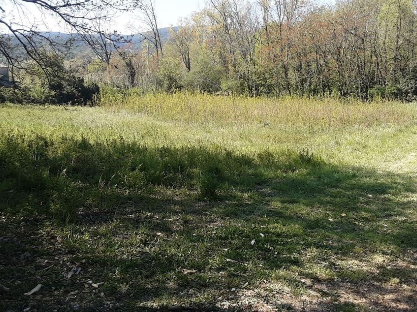 Terrain à vendre - 3955m2 - Saint-Montan (07220)