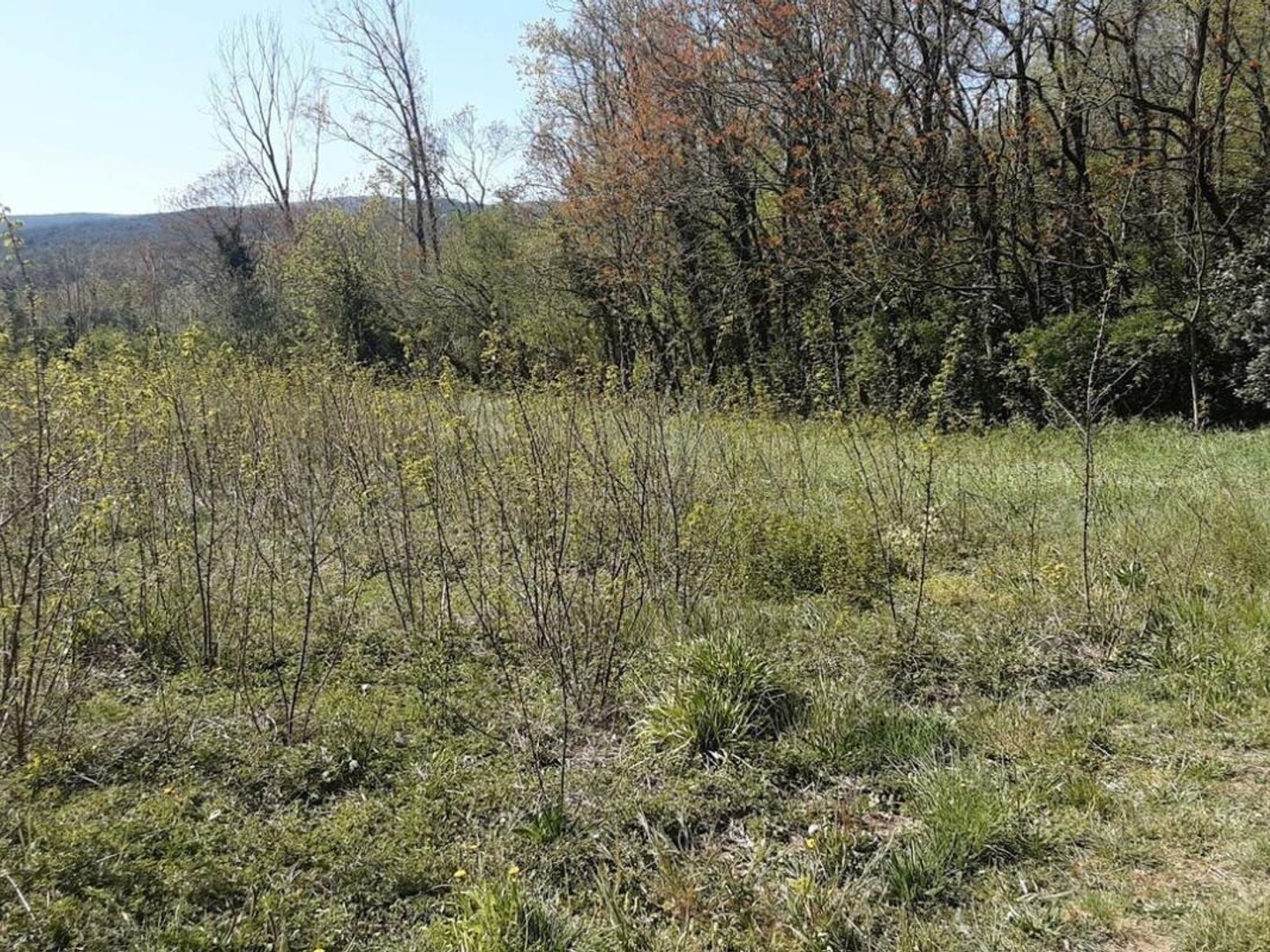 Terrain à vendre - 3955m2 - Saint-Montan (07220)