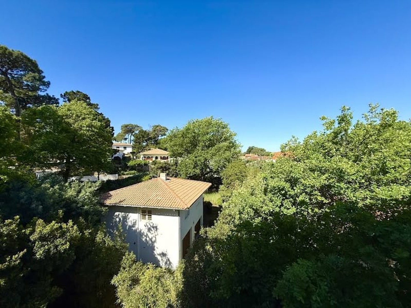 Appartement 1 pièce 24 m²