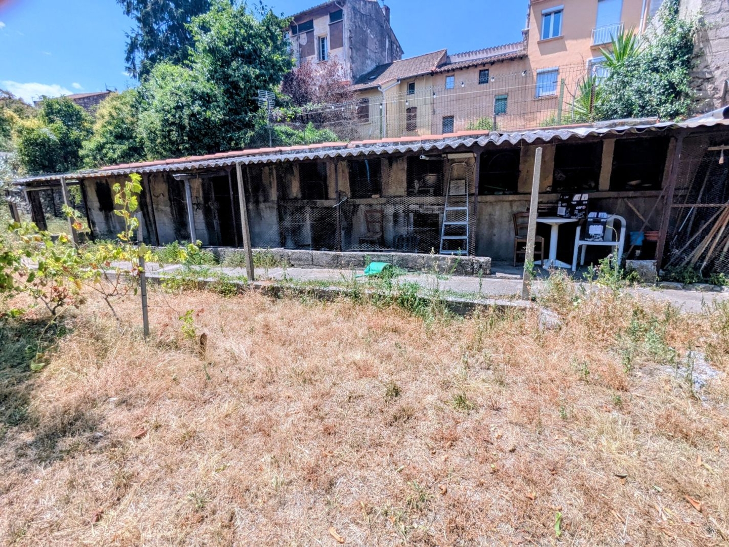 Terrain plat et arboré