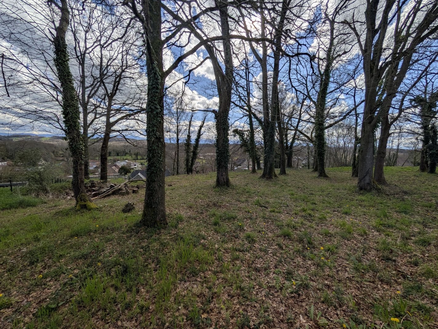 Terrain Haut de Lee