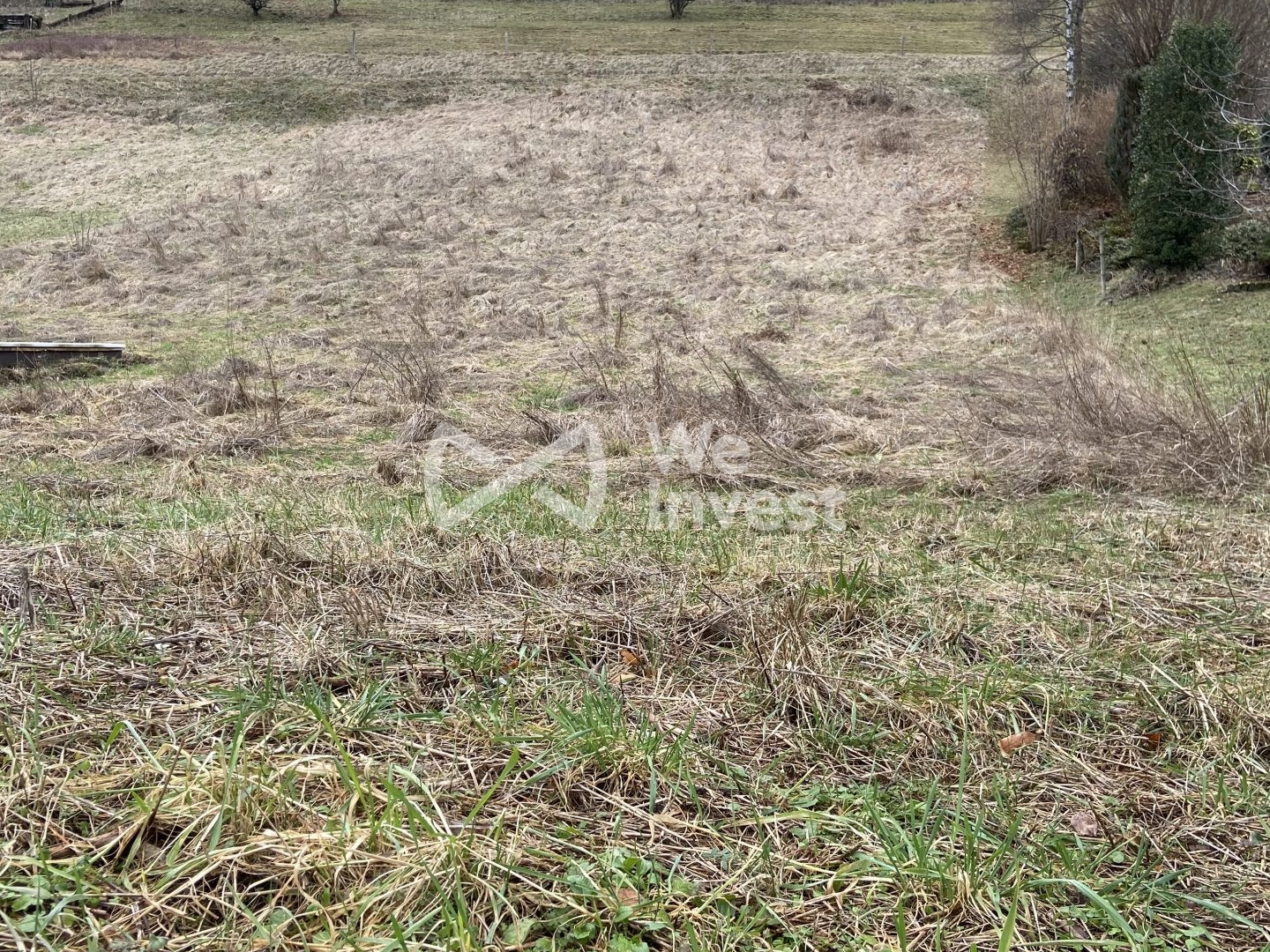 Terrain à vendre - 1365m2 - Champfromier (01410)