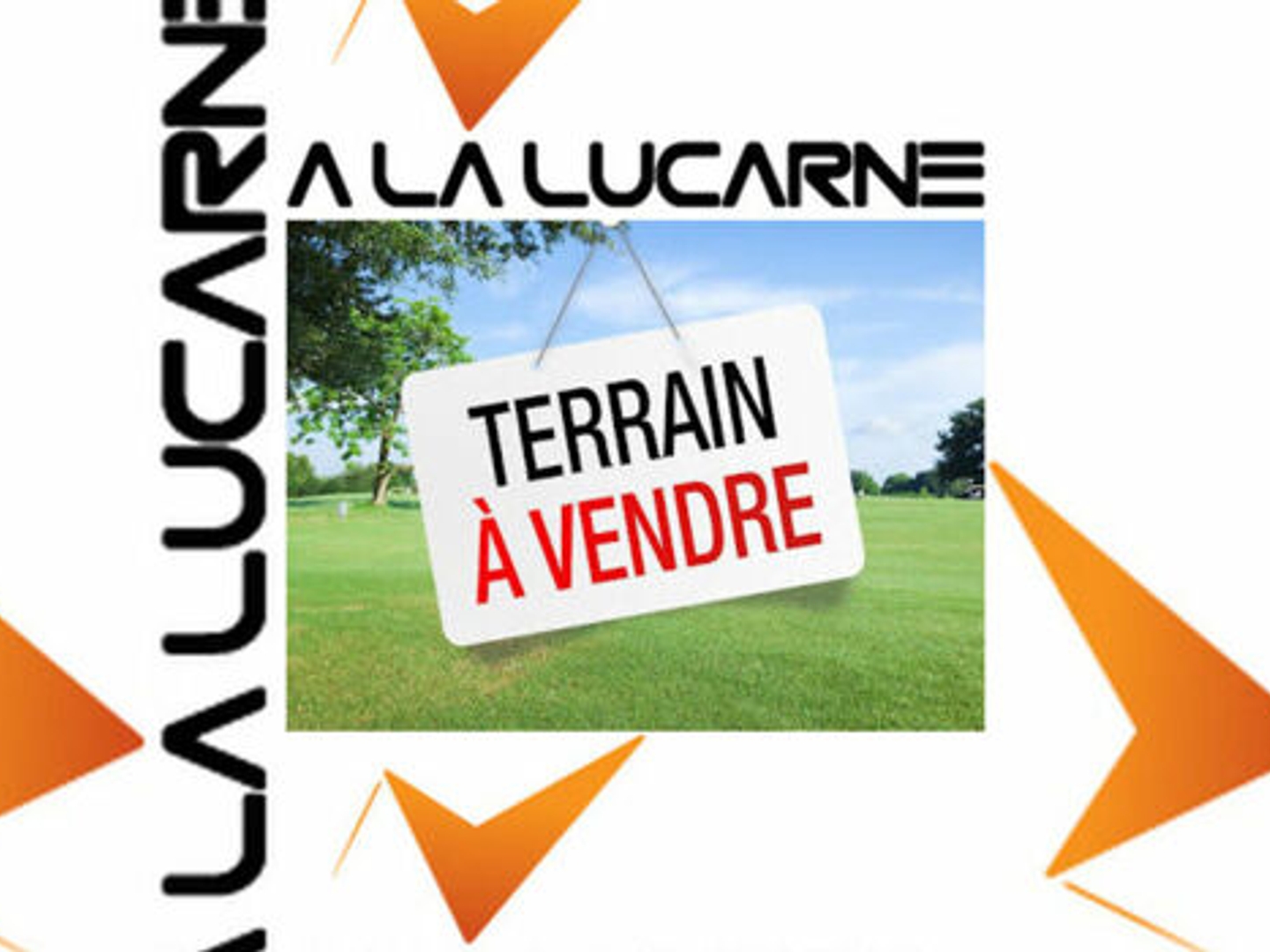 Terrain
