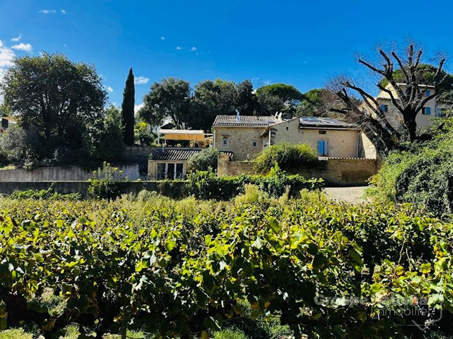 Terrain à vendre - 130000m2 - Goudargues (30630)