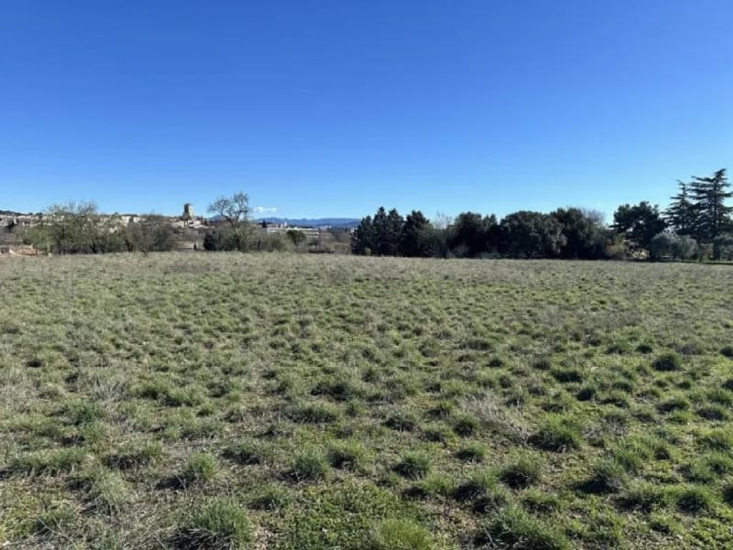 Terrain 319 m²
