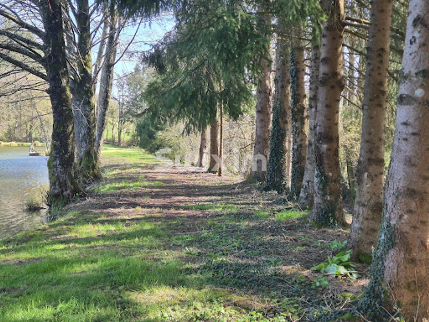 Terrain à vendre - 54985m2 - Lormes (58140)