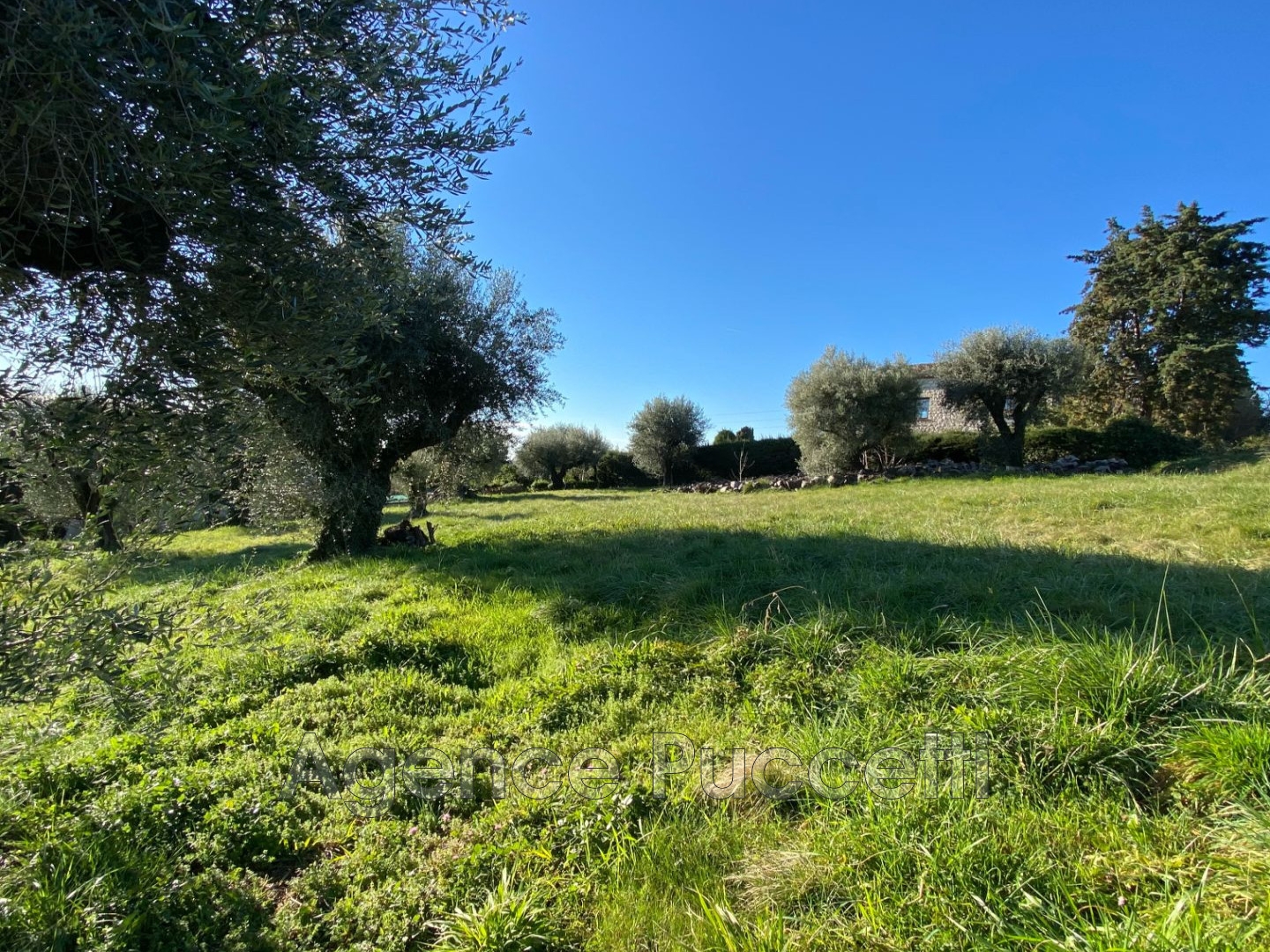 Terrain à vendre - 1002m2 - Vence (06140)