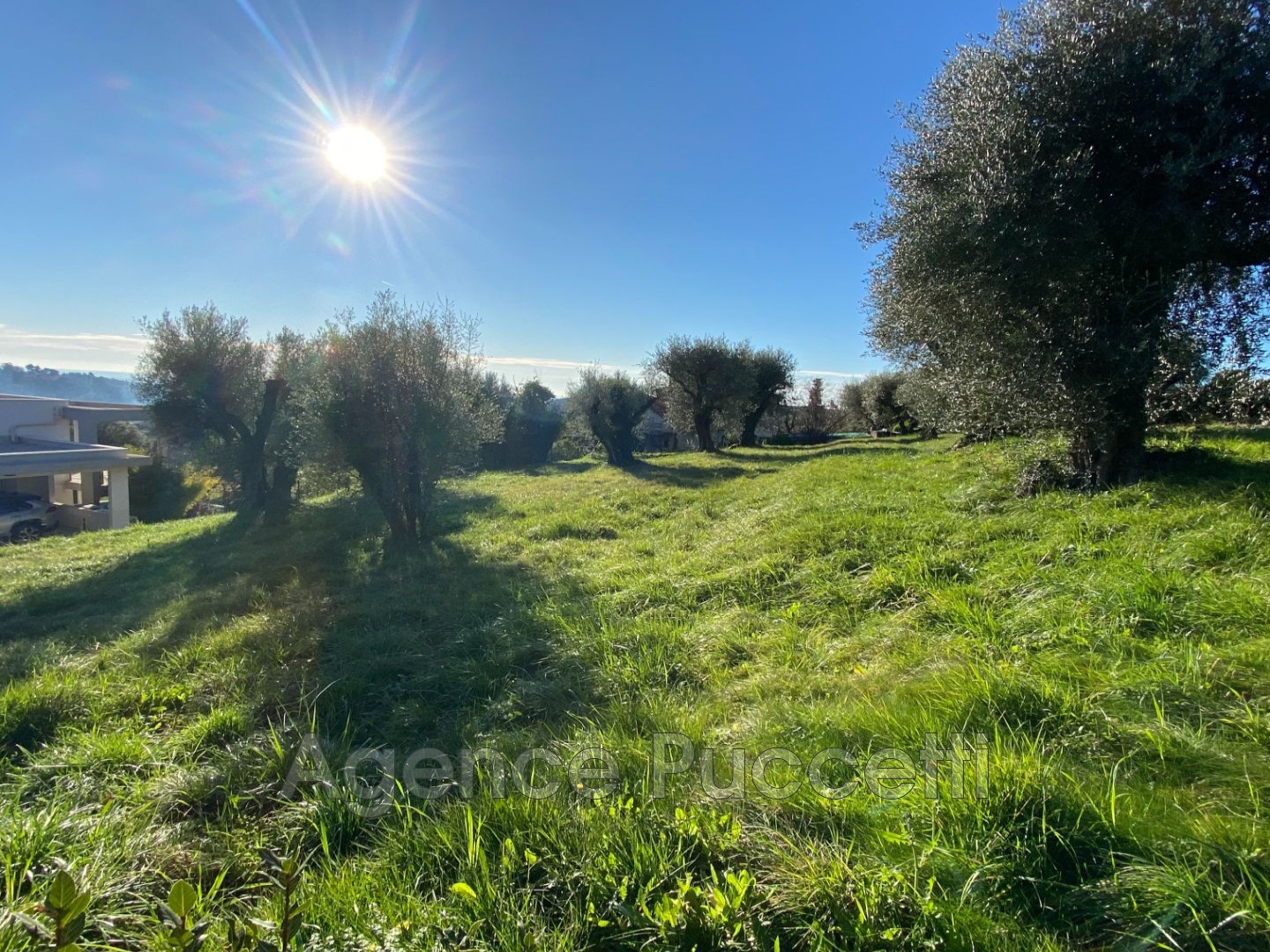 Terrain à vendre - 1002m2 - Vence (06140)