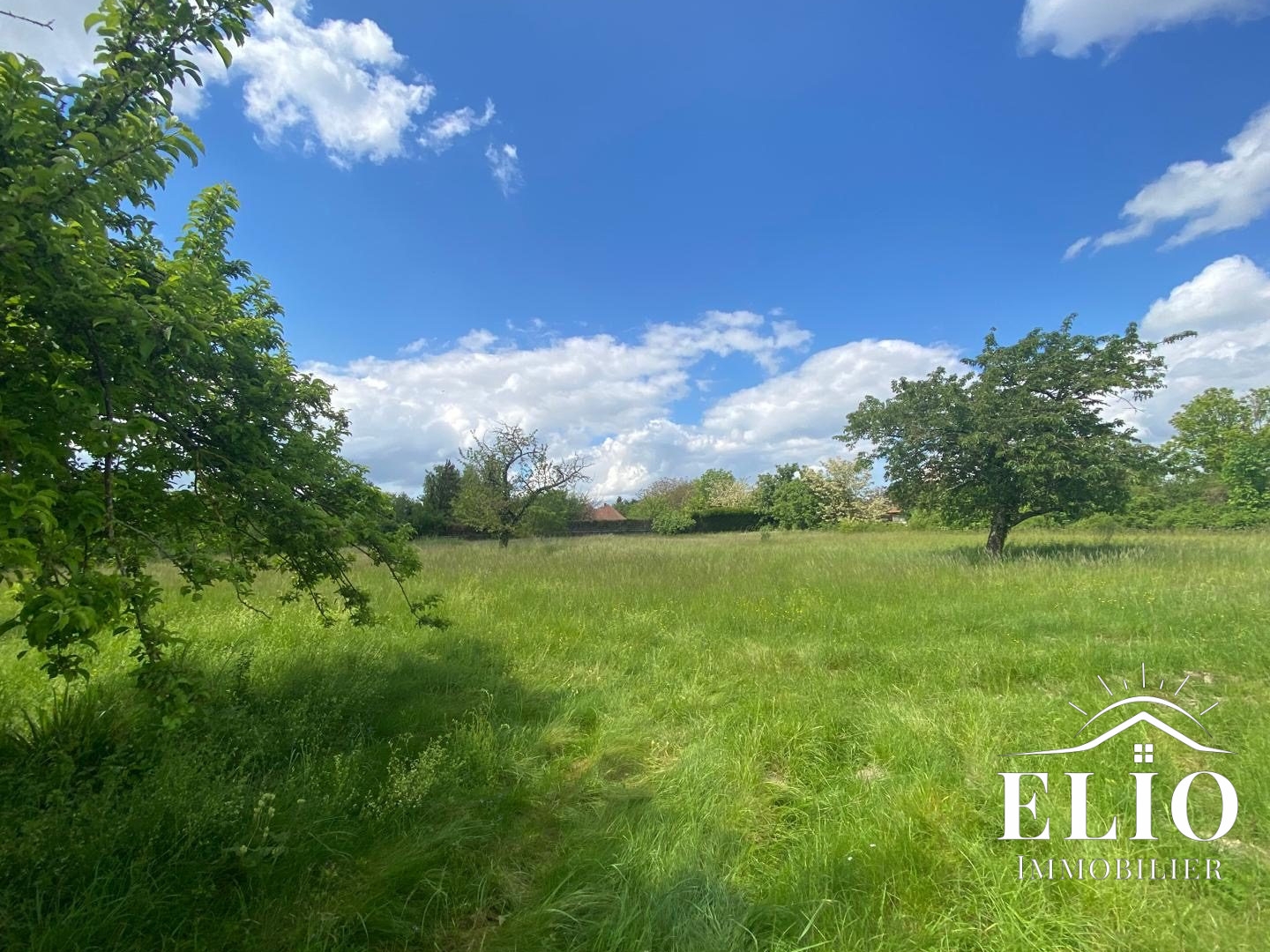 Terrain à vendre - 6010m2 - Payns (10600)