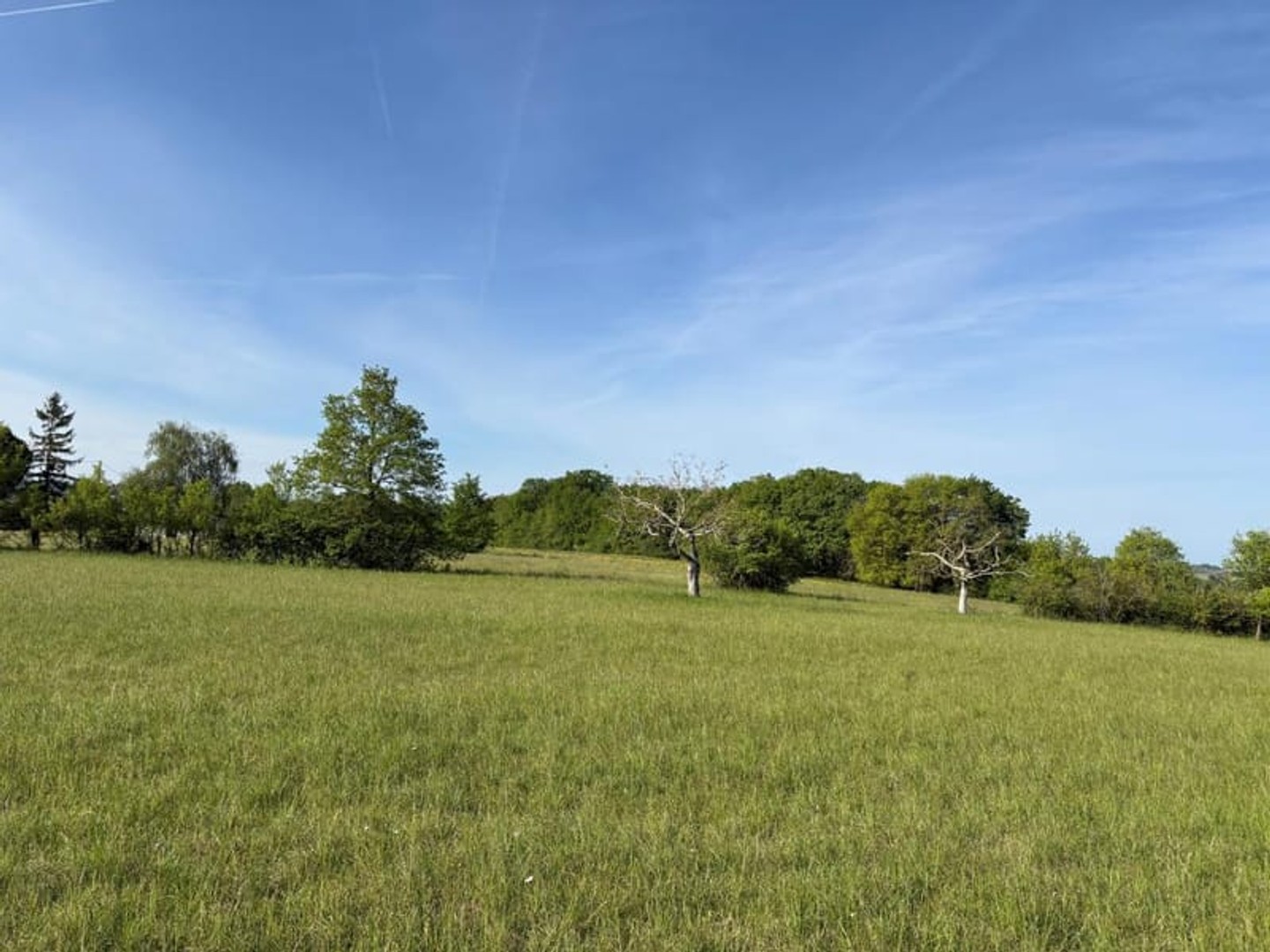 TERRAIN A BATIR - VERTEILLAC
