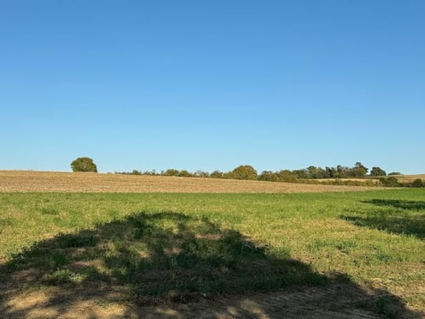 Terrain 1200 m²