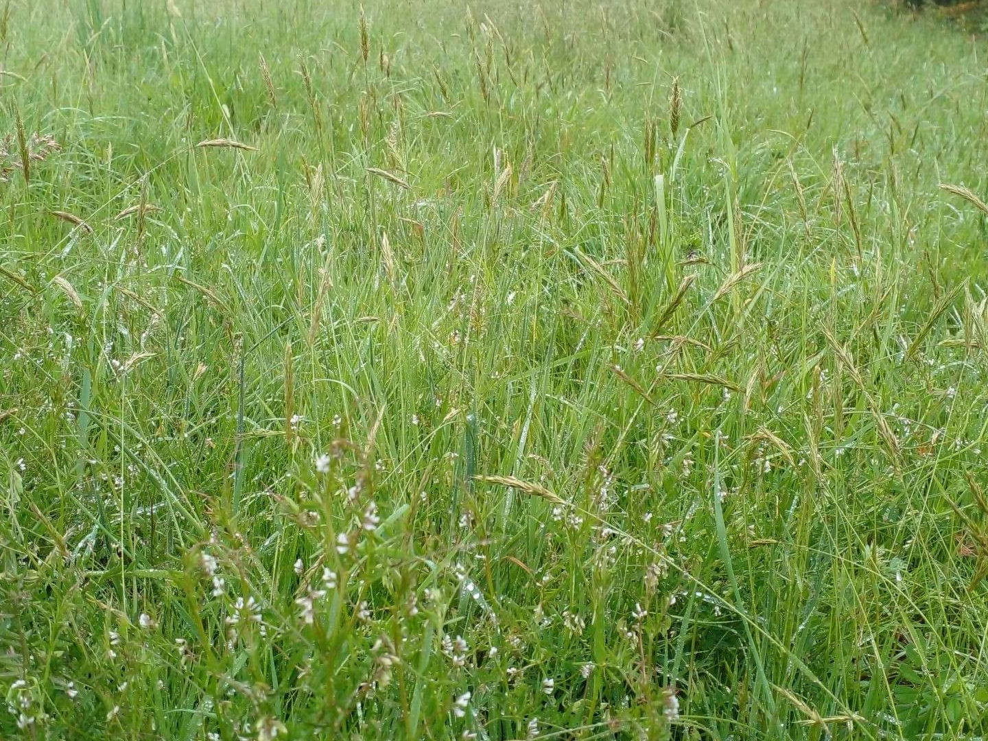 Terrain 3144 m²