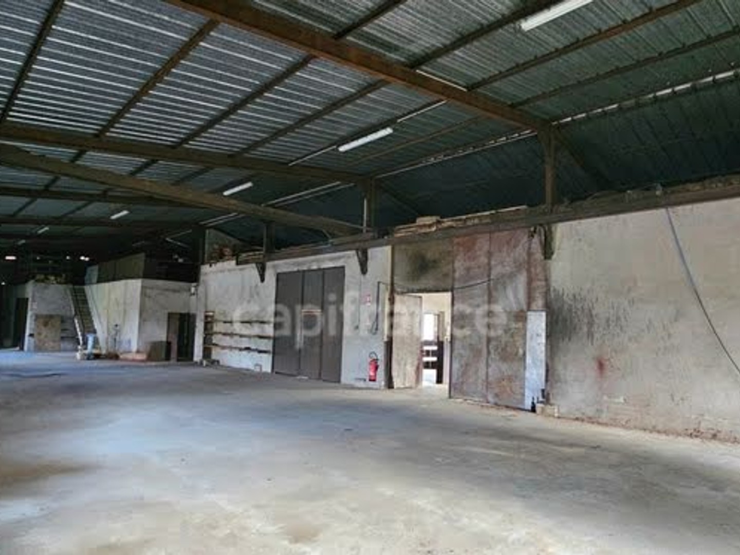 Local 12 pièces 1300 m²