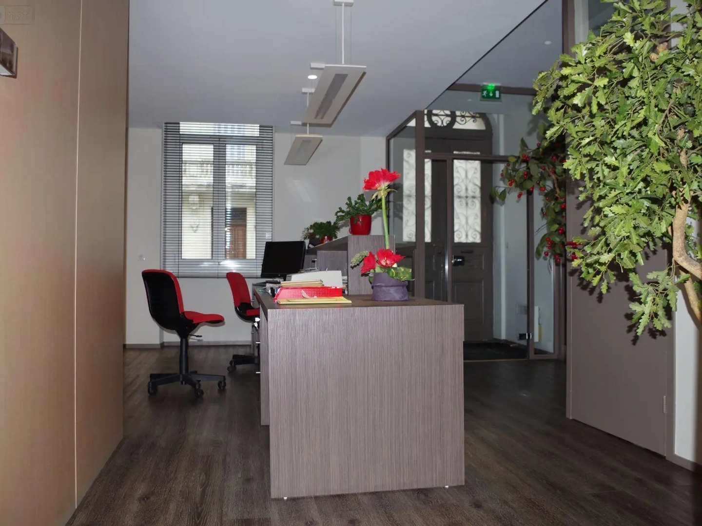 Immeuble 260 m²