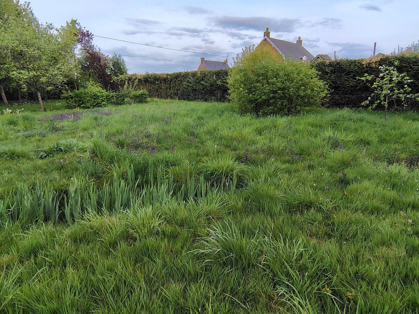 Terrain à Bâtir 611 m² en retrait de rue, idéalement situé !
