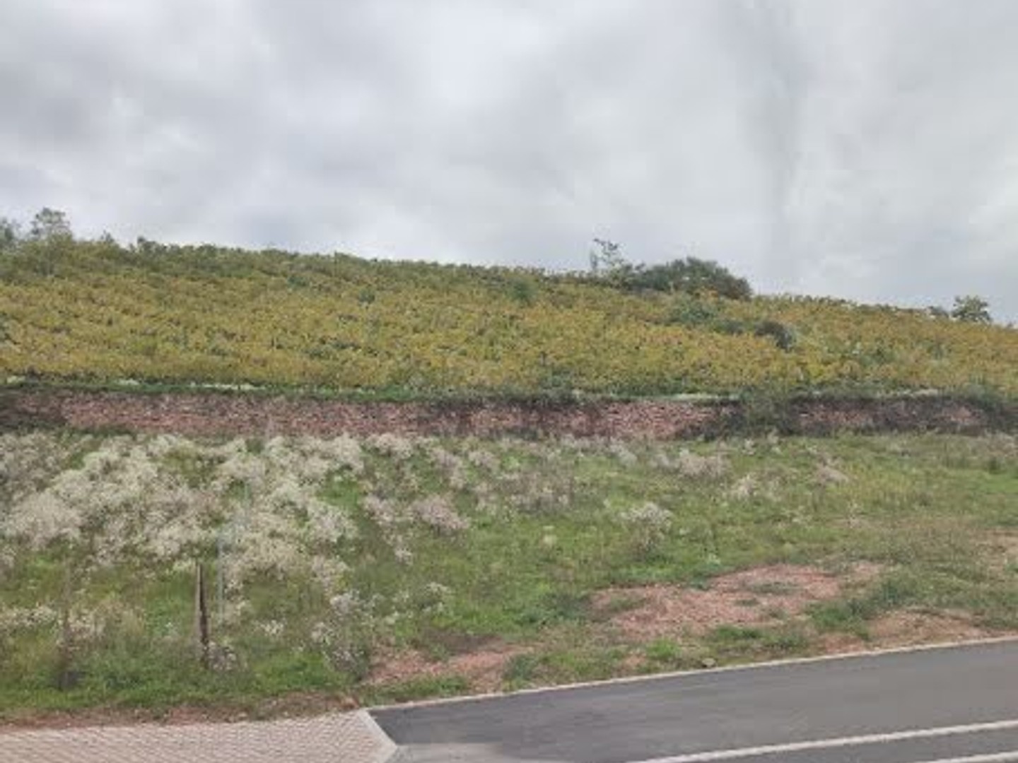 Terrain 505 m²