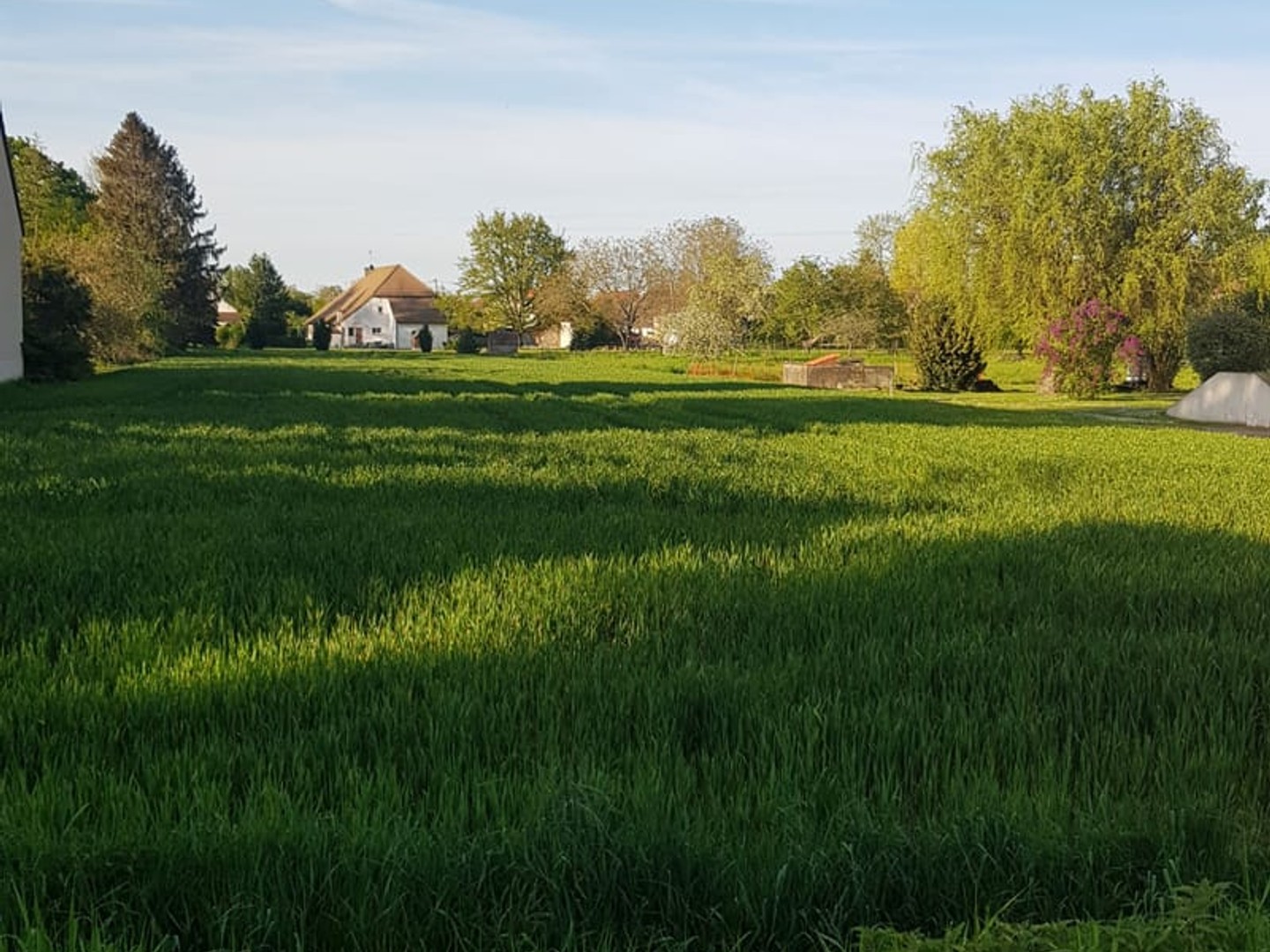 Terrain à bâtir 1767 m²
