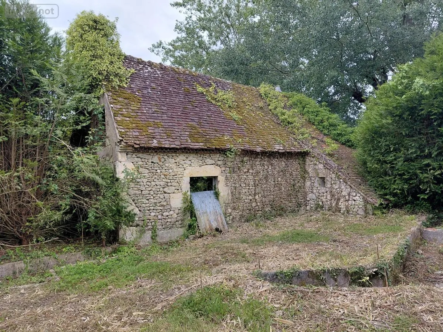 Local 54 m²