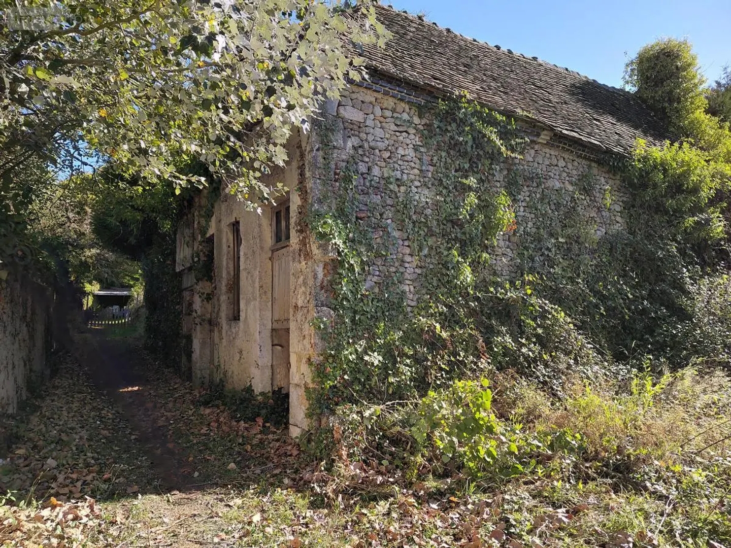 Locaux à vendre - 54m2 - La Chapelle-Souëf (61130)