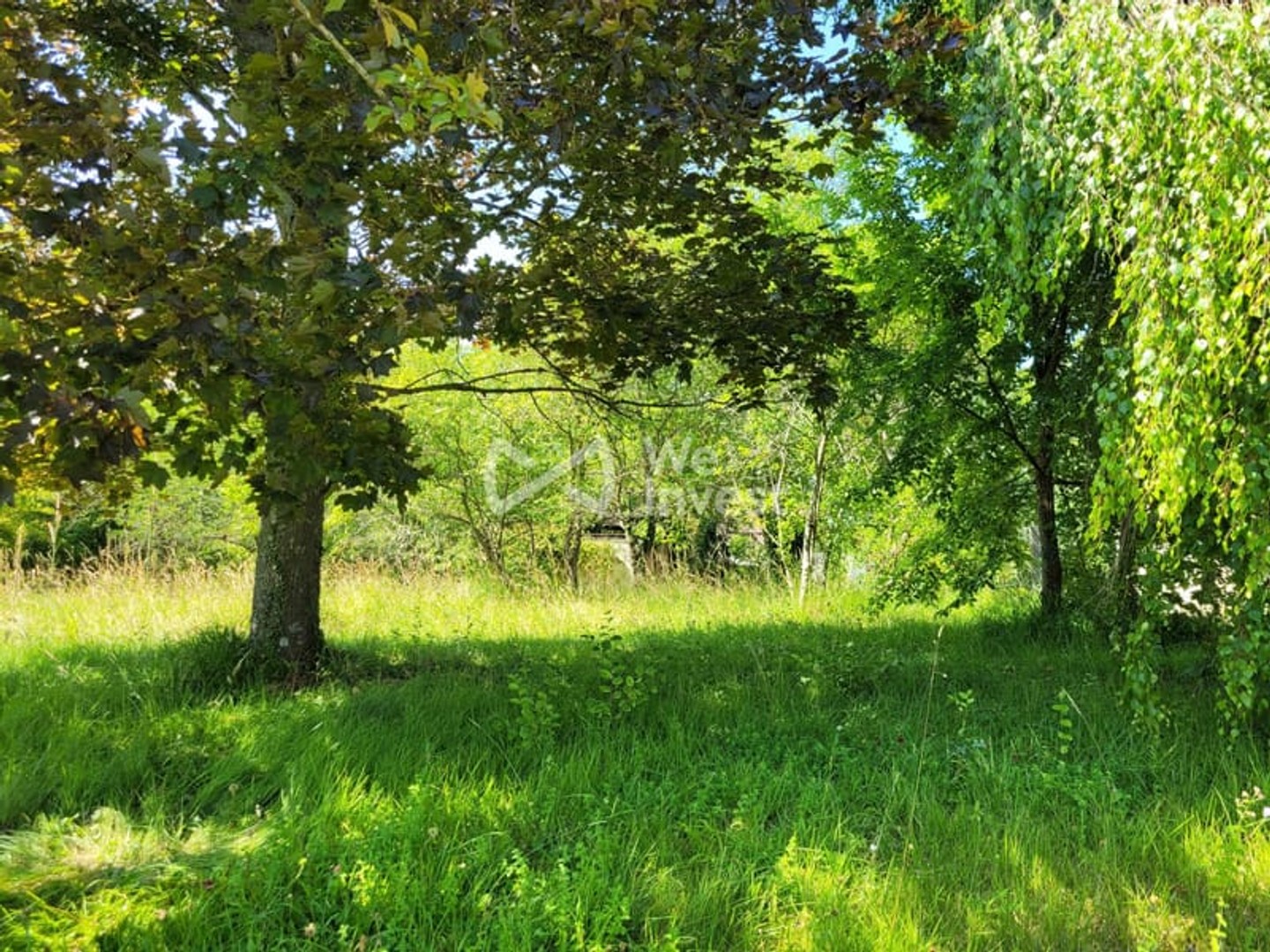 Terrain