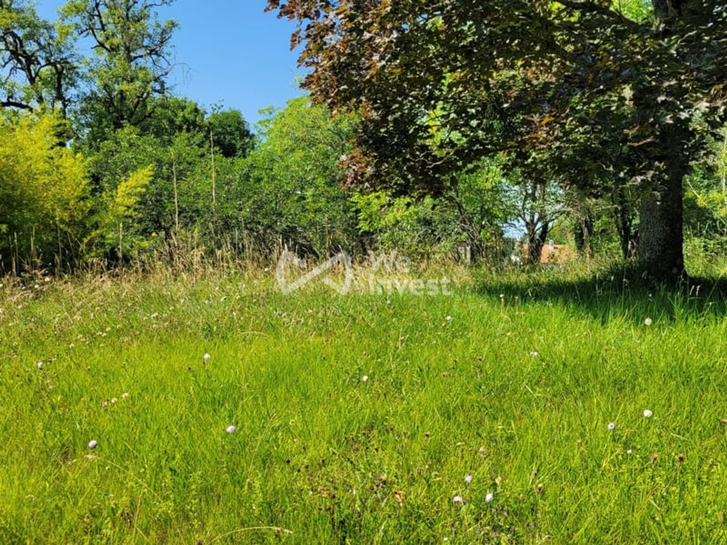 Terrain à vendre - Montévrain (77144)