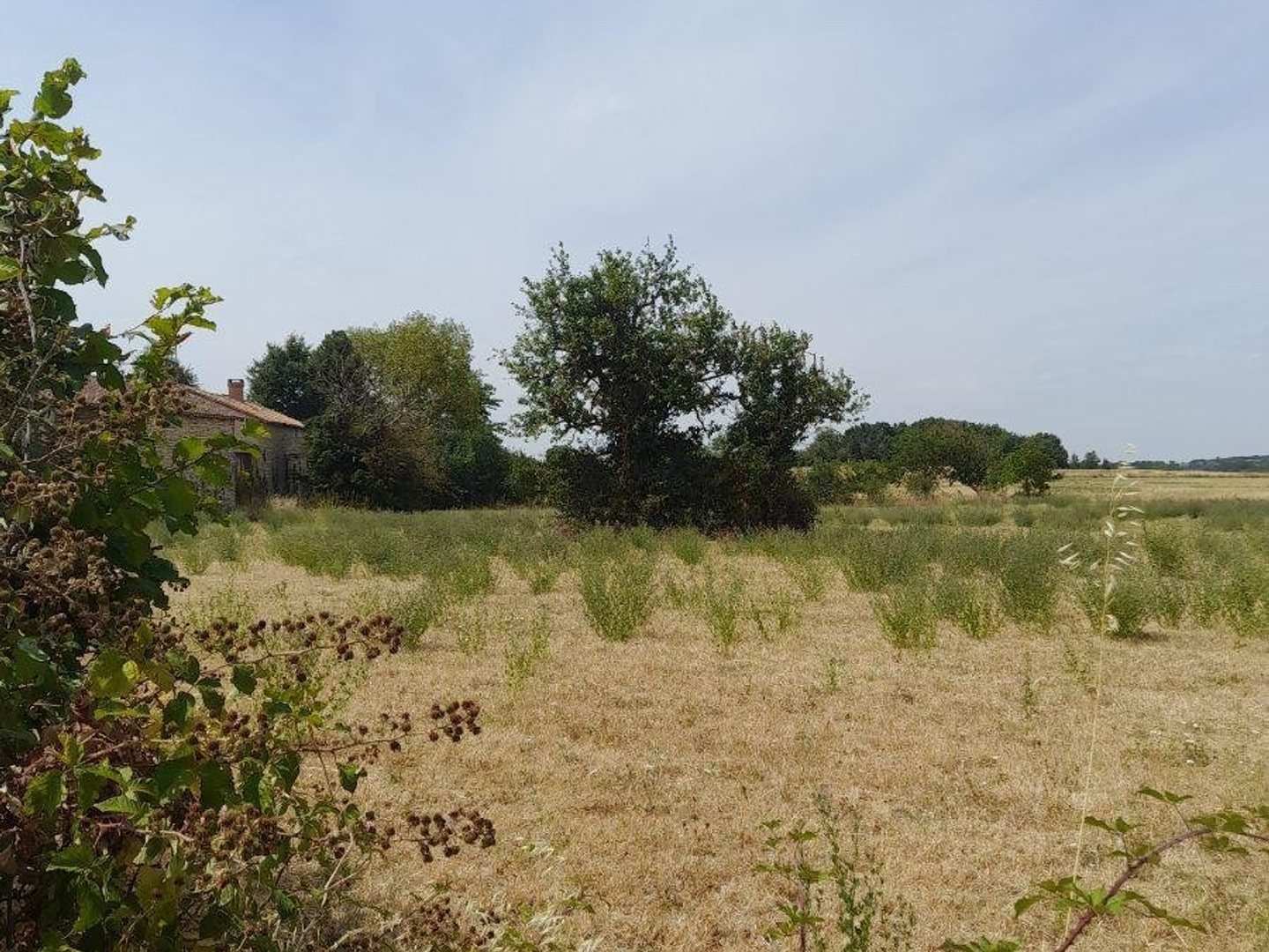 Terrain à bâtir 2100 m²