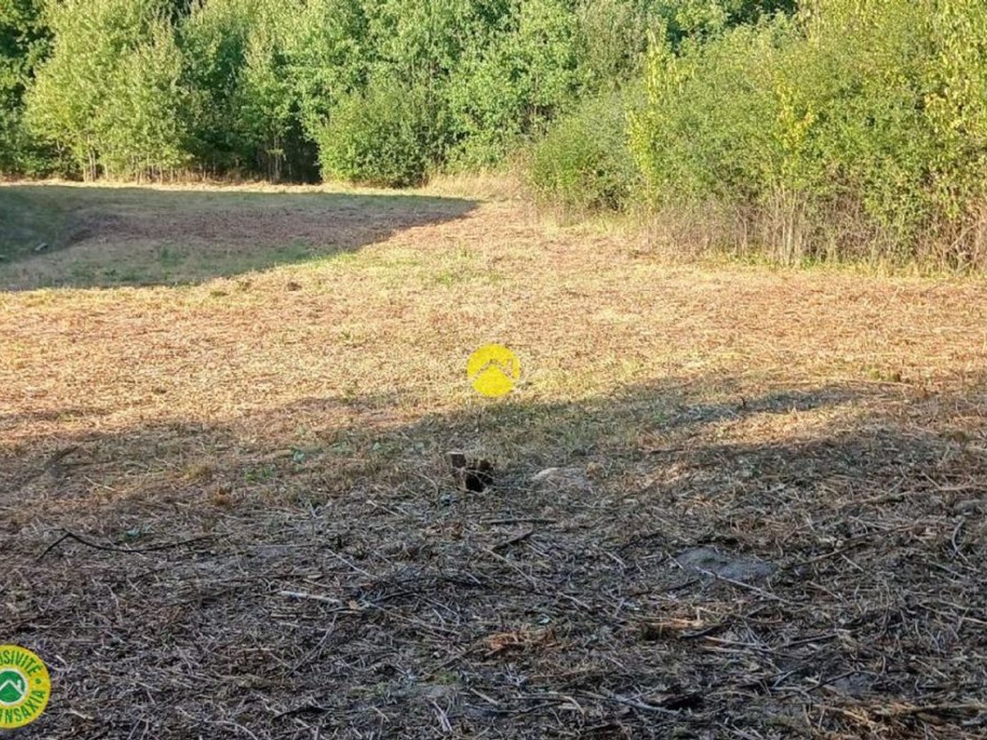 Terrain constructible