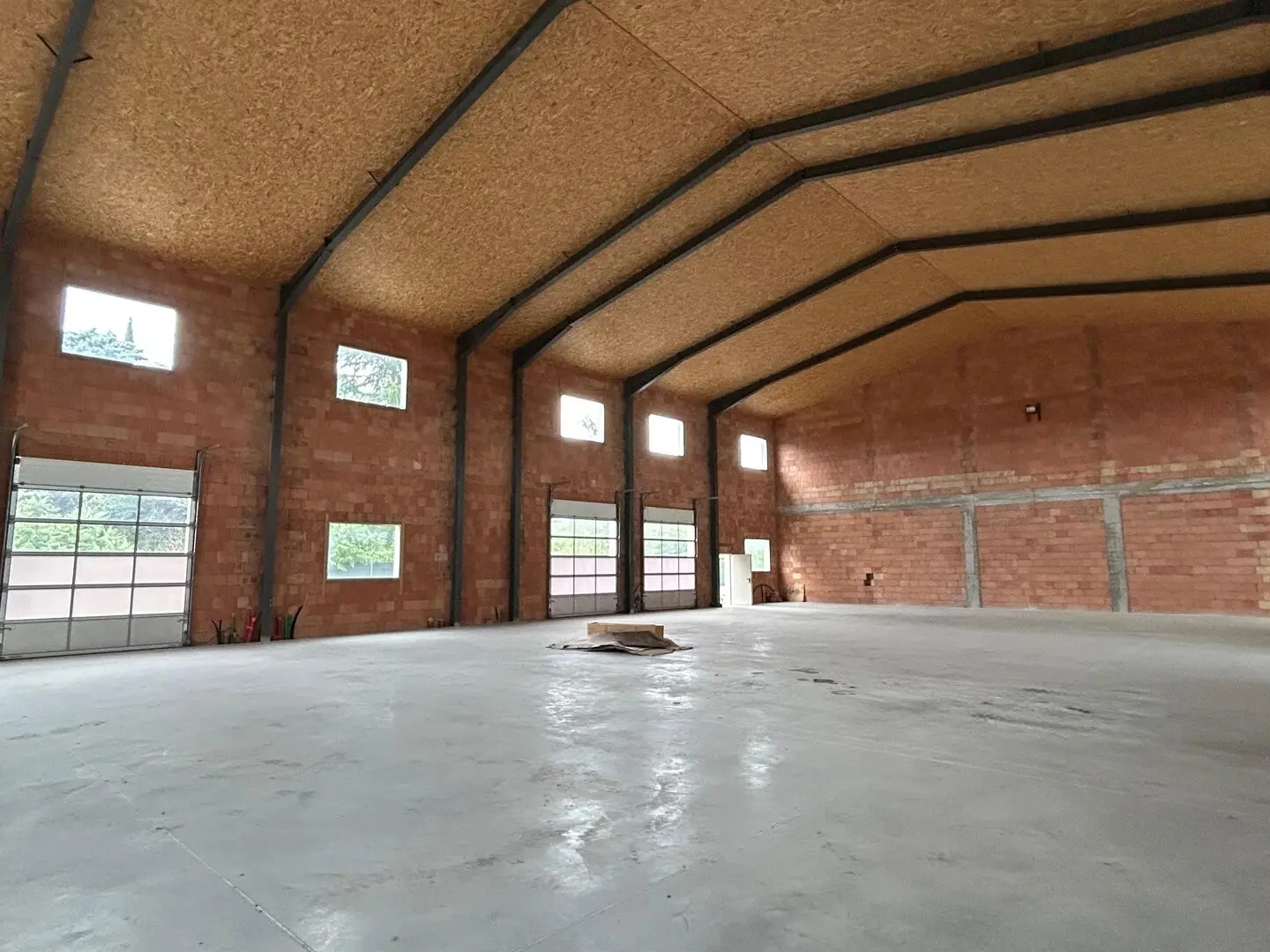 Locaux à vendre - 640m2 - Saint-Sauveur (38160)